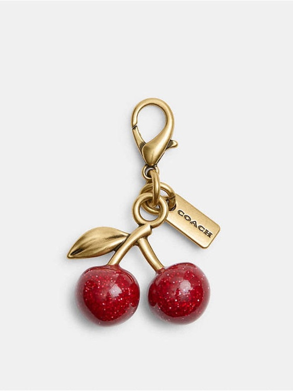 Coach DIY Cherry Charm Mini NWT CCX77